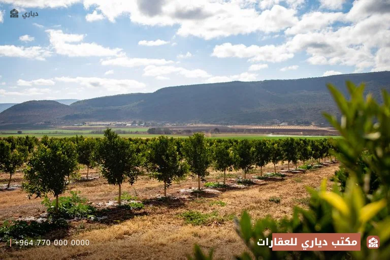 أرض زراعية ١٠ دونم للبيع — الكوت، واسط